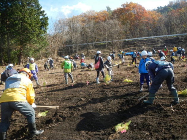 植樹祭でのカラマツ植樹