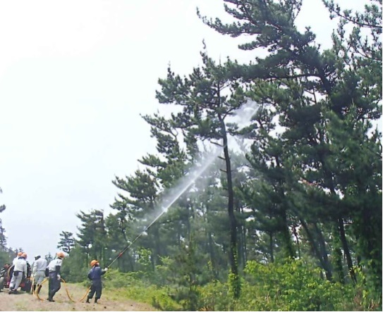 松くい虫防除のための薬剤散布作業