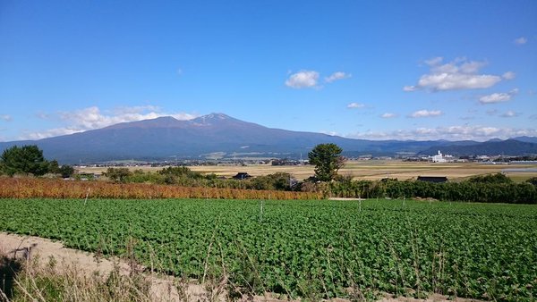 遊佐町藤崎より