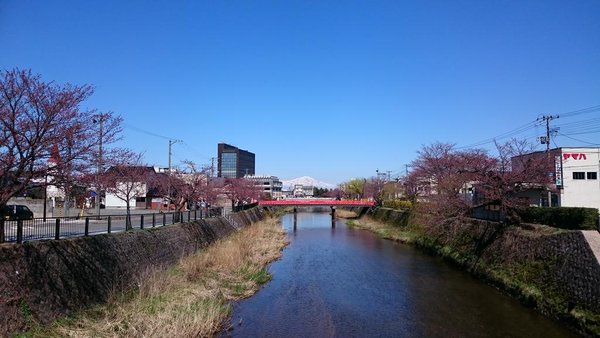 鶴岡市内を流れる内川より