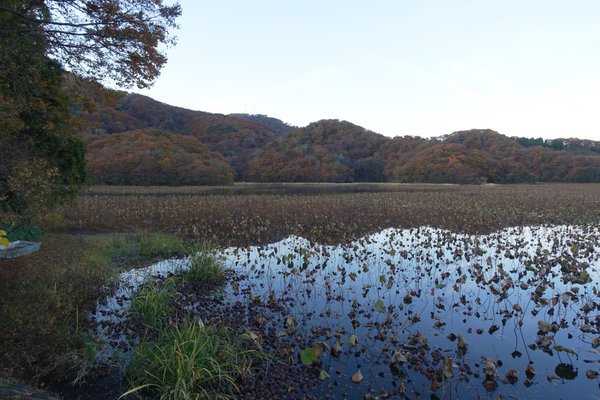 上池