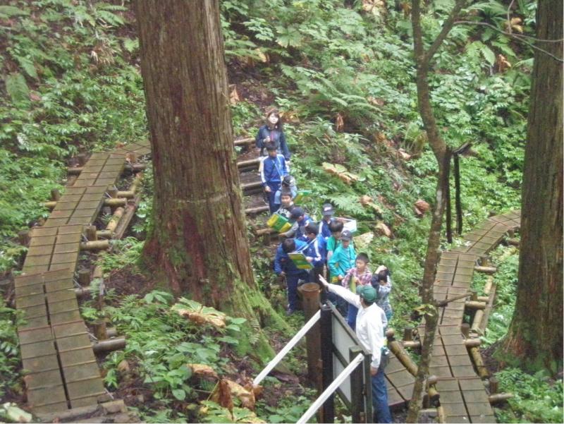 小学3年生の森林教室（6月）