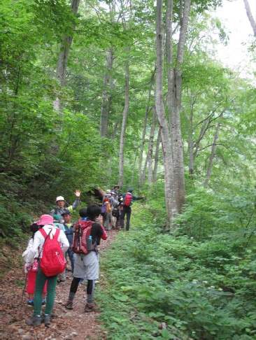 大鳥池登山