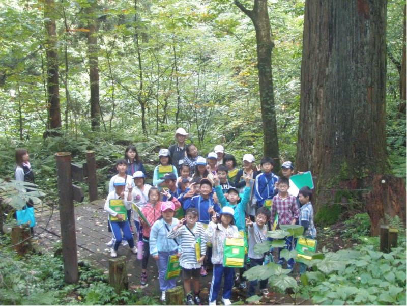 小学3年生の森林教室（6月）2