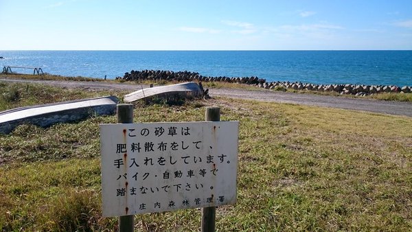 庄内弁の看板も（「うだるな」は「捨てるな」の意） 