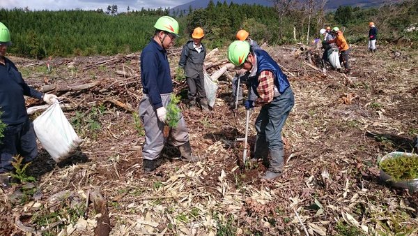 コンテナ苗の植付け（遊佐町嶽ノ腰国有林で開催した低コスト森林施業に関する現地見学会）