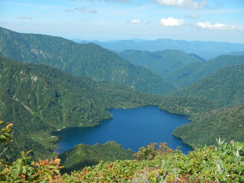 朝日山地森林生態系保護地域