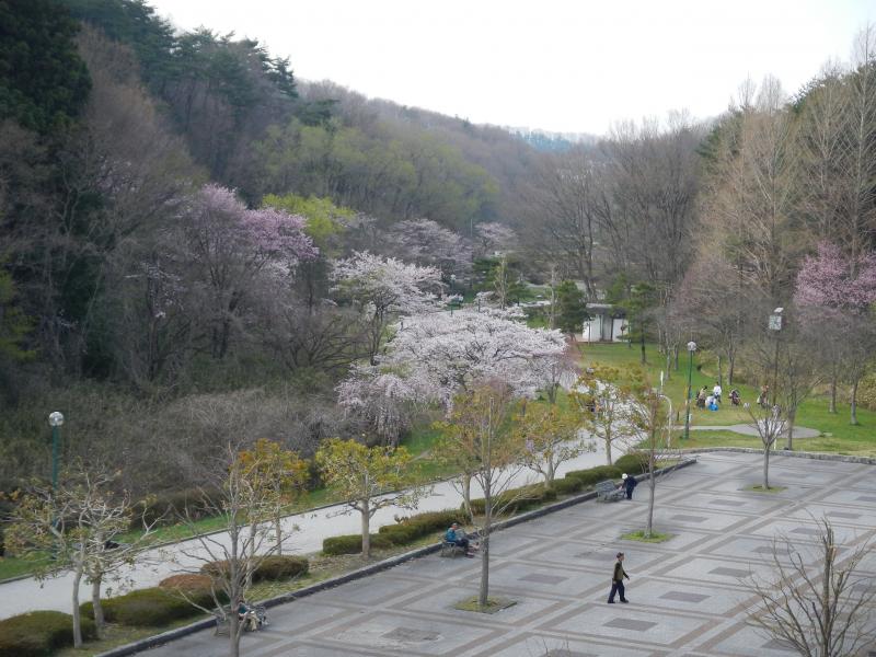 憩いの森（台原地区）