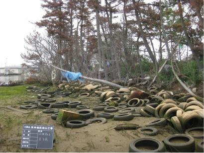 津波によるガレキ及び被害木の状況