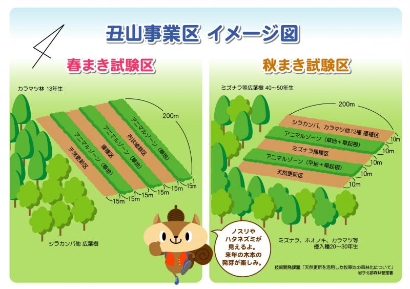 技術開発イメージ