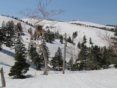 秋田焼山