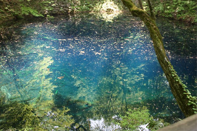 十二湖の青沼