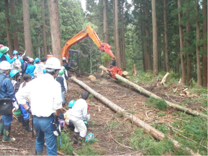 間伐作業を小学生が見学