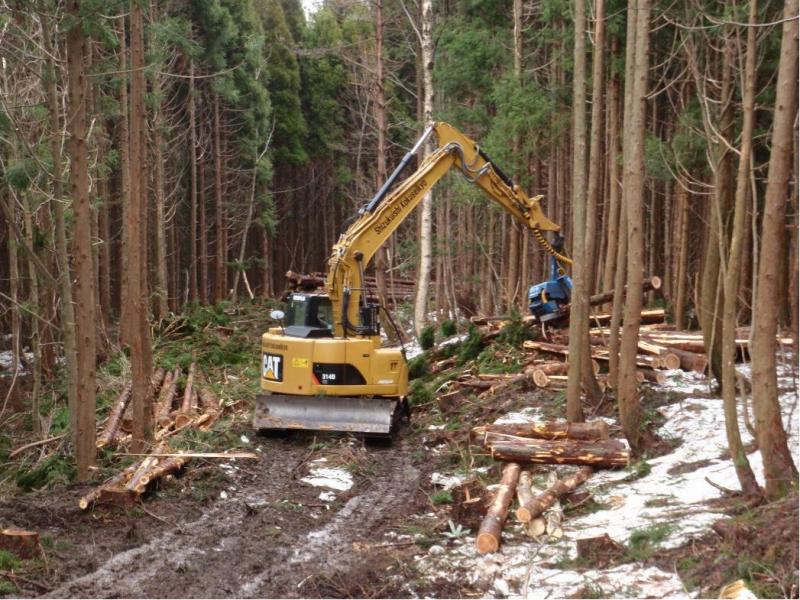 高性能林業機械による間伐