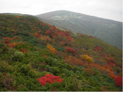 黒岩から五葉山を望む