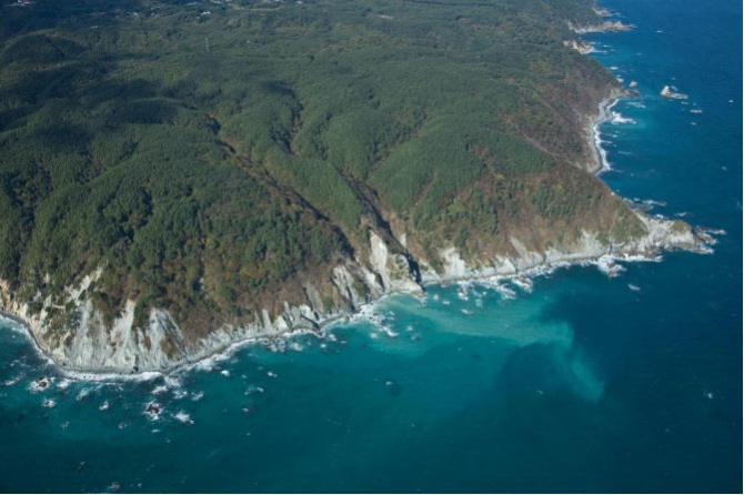 三崎山国有林の海岸