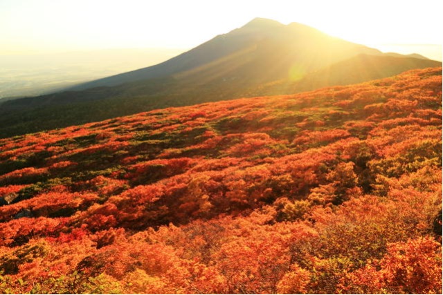 三ツ石山から望む岩手山