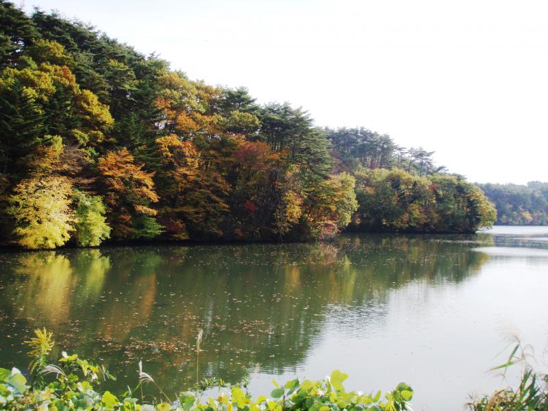 水の森（三共地区）