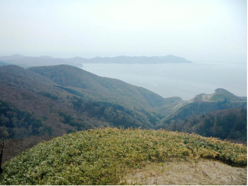 日本海と権現崎