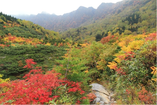 鬼ヶ城の紅葉