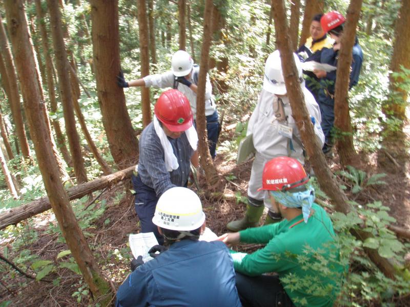 ルート途中での意見交換