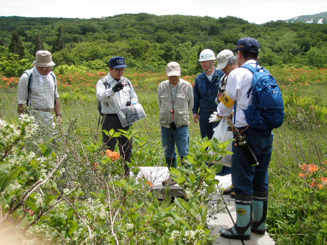 専門家による現地検討会