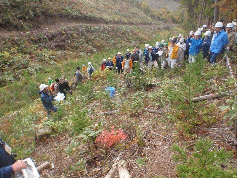 試験地での現地検討会