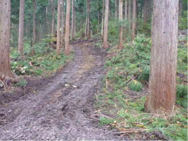 森林作業道の作設