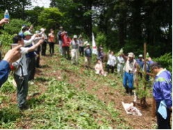 植樹会を開催