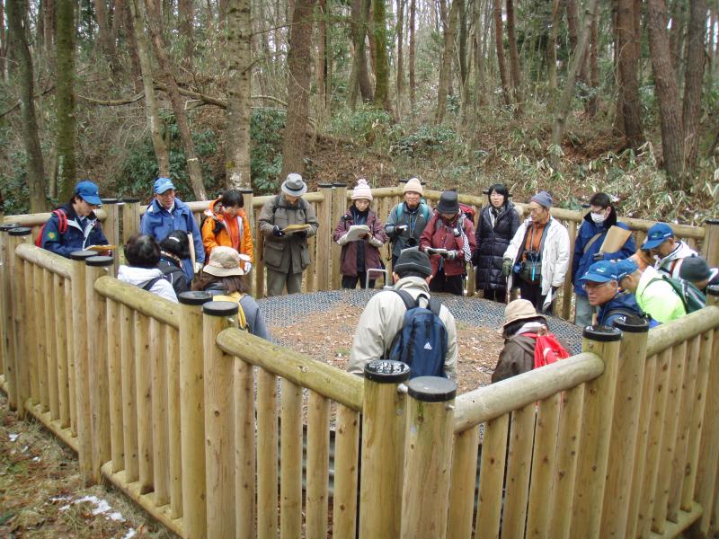 治山見学会（モミの山）