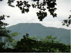 登山道から望む御所山