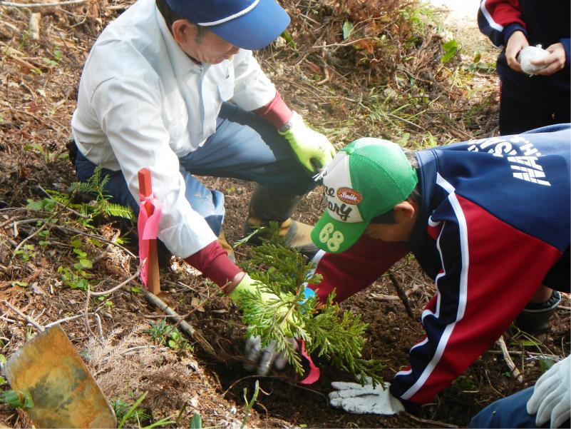 植栽作業