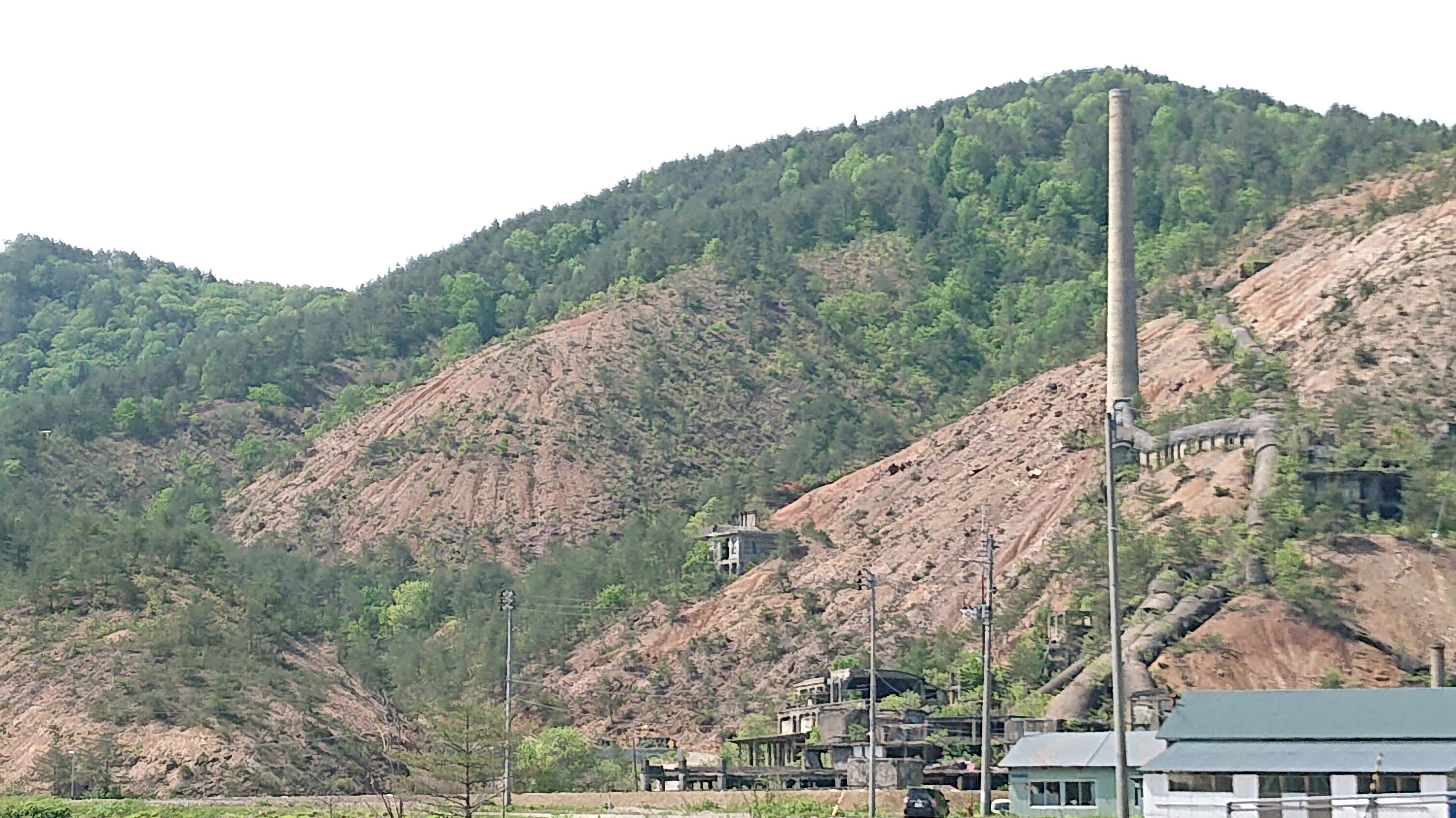 195_shin_1.JPG