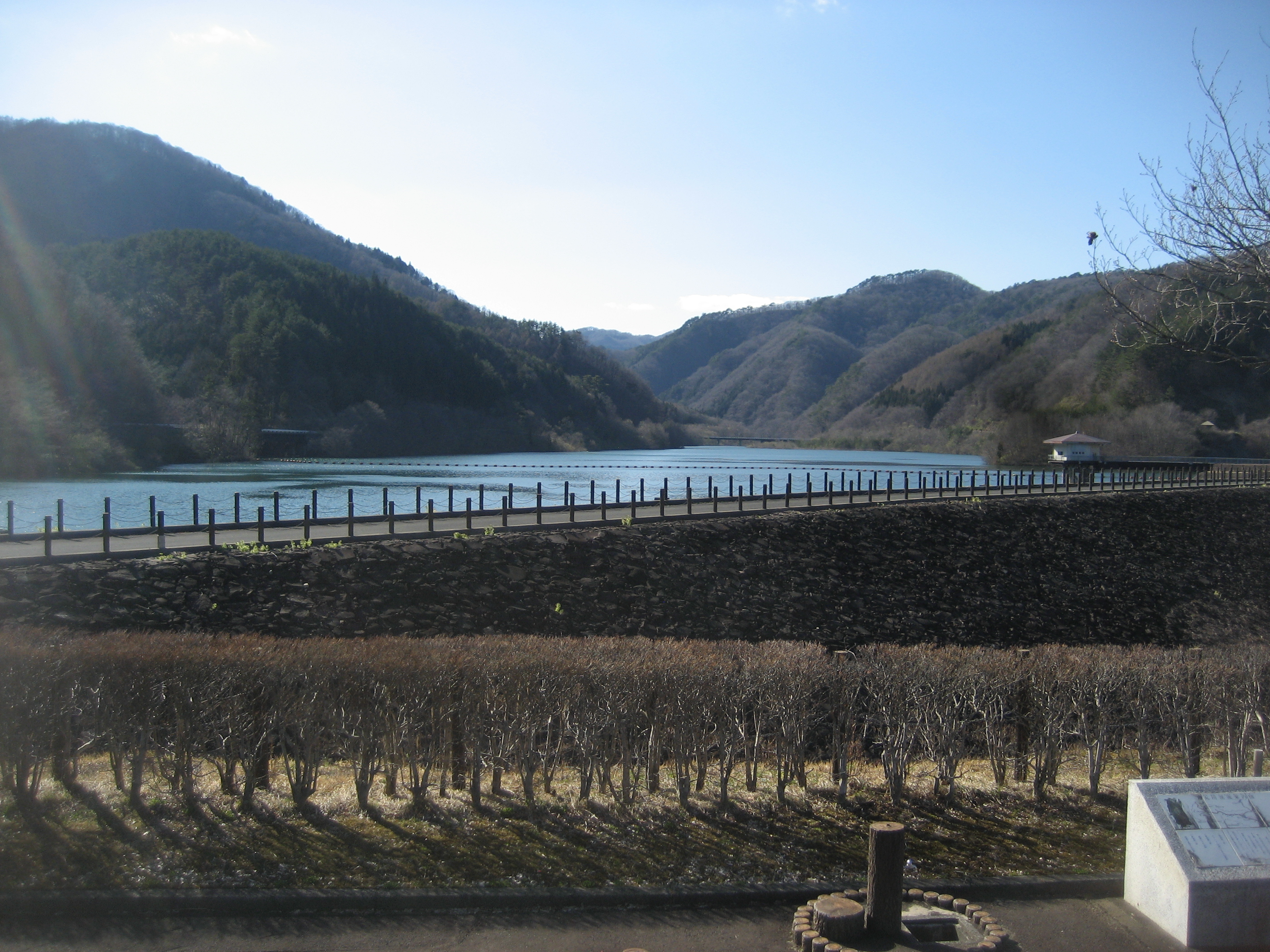 sinrin202005-2.JPG