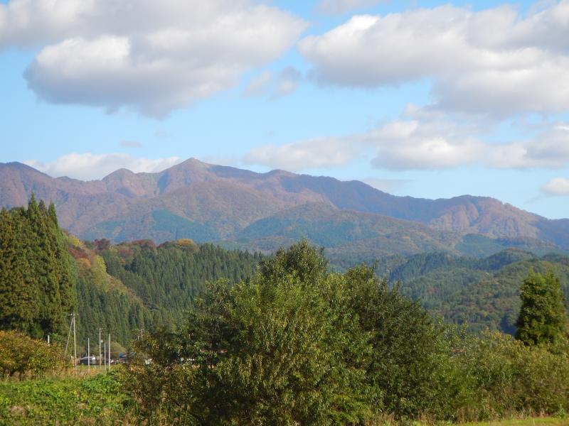 事務所から望む紅葉の太平山