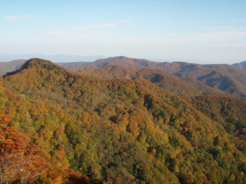 胎蔵山より眺める管内の紅葉