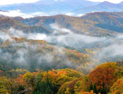 白神山地森林生態系保護地域