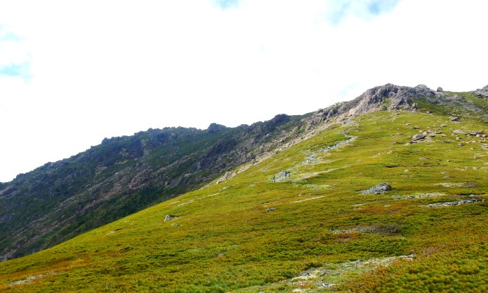 早池峰山周辺森林生態系保護地域