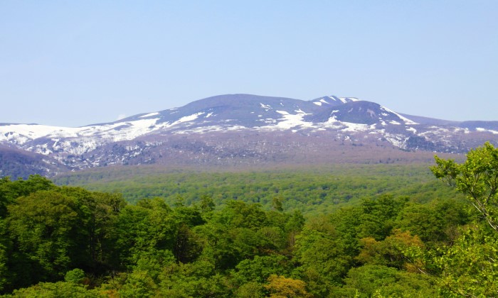 栗駒山・栃ヶ森山周辺森林生態系保護地域