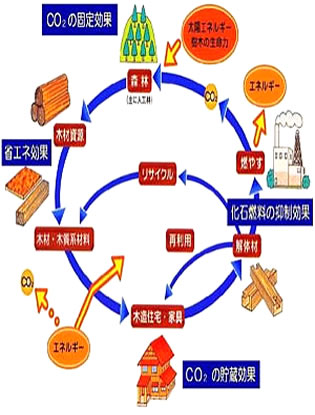 森林、木質資源の活用による温暖化防止貢献のモデル