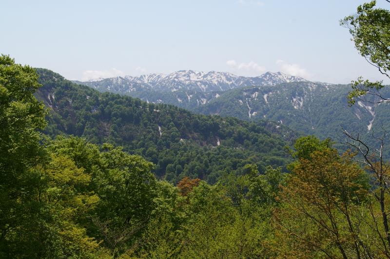 白神山地世界遺産地域モニタリング計画