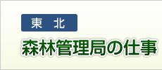 森林管理局の仕事