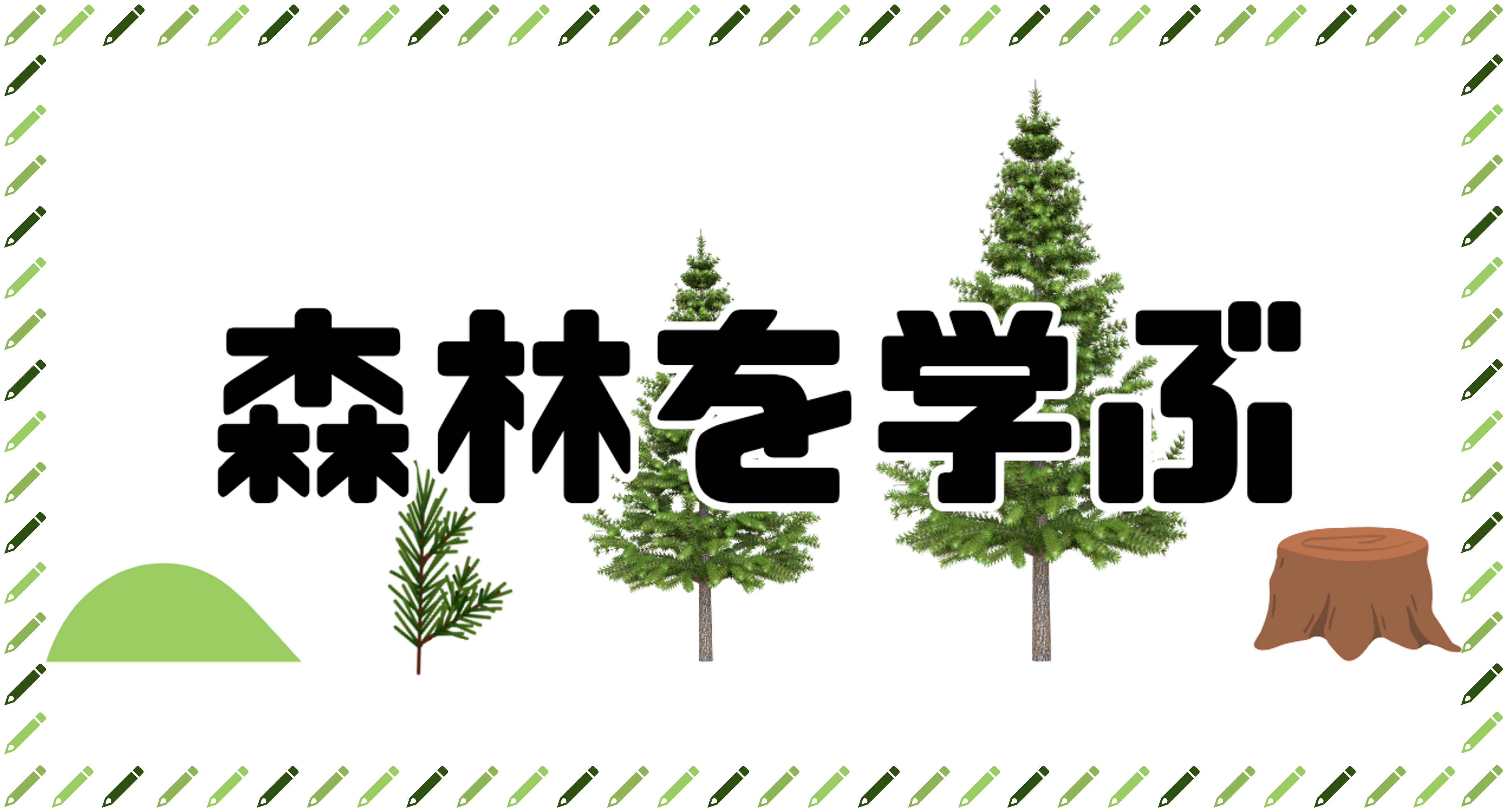 森林を学ぶ