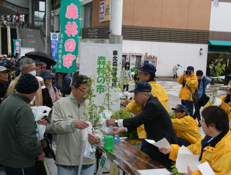 局長、計画部長によるサクラ苗木プレゼント