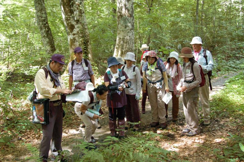 散策中熱心に植物の説明を受ける参加者