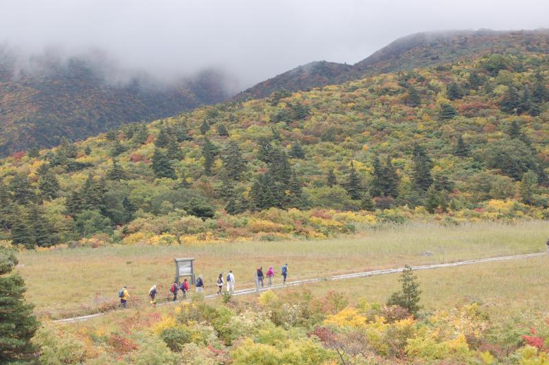 紅葉の名残ヶ原