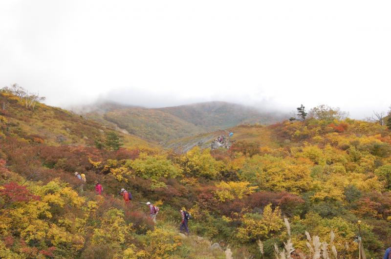 紅葉の登山道