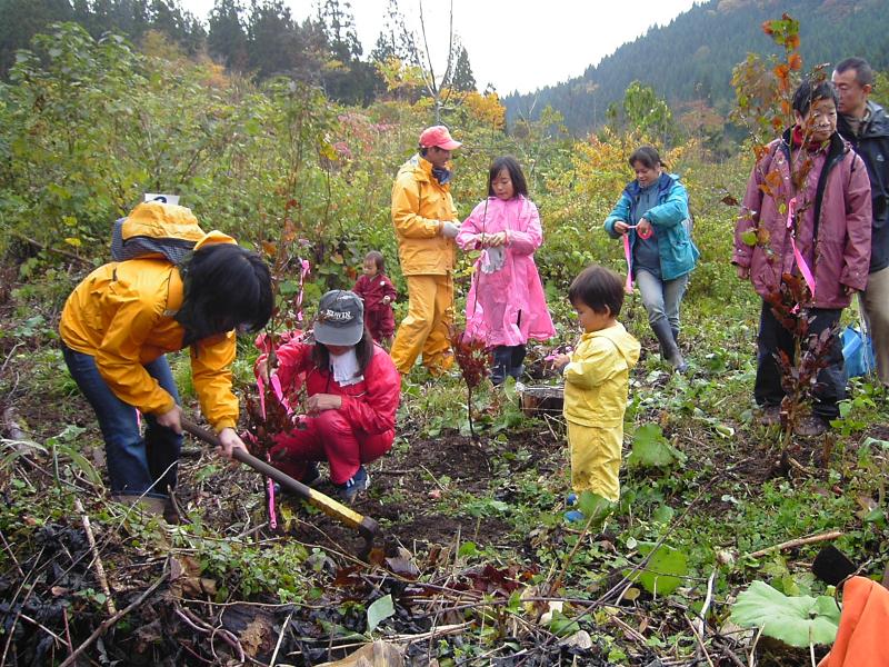 太郎の森：ブナ植樹の様子