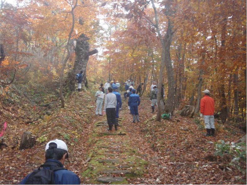 紅葉の黒沢峠敷石道