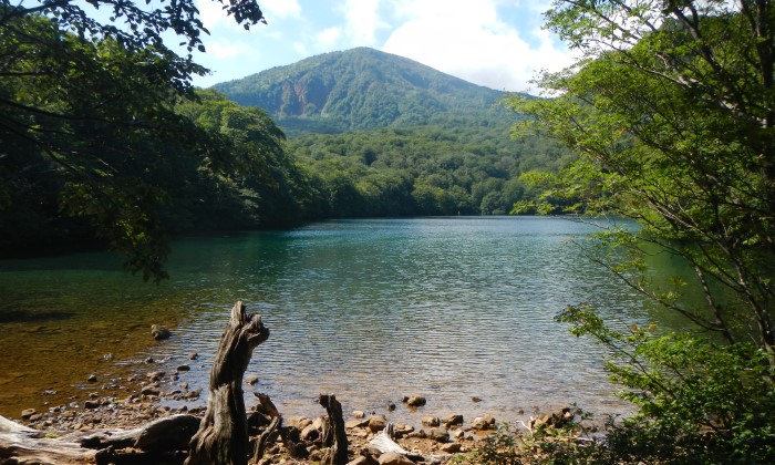 赤沼から見る赤倉岳